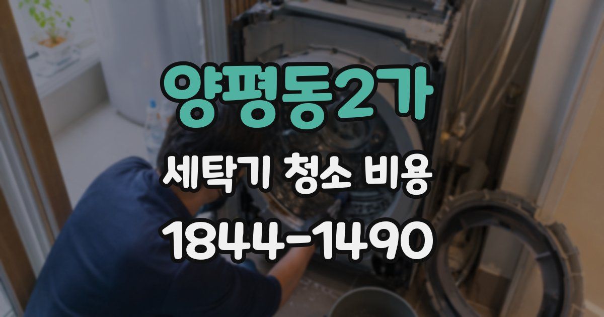 양평동2가 세탁기 청소 비용