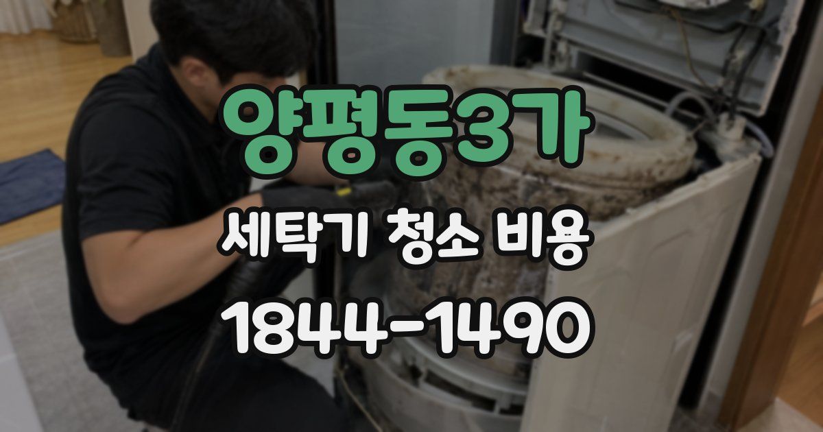 양평동3가 세탁기 청소 비용