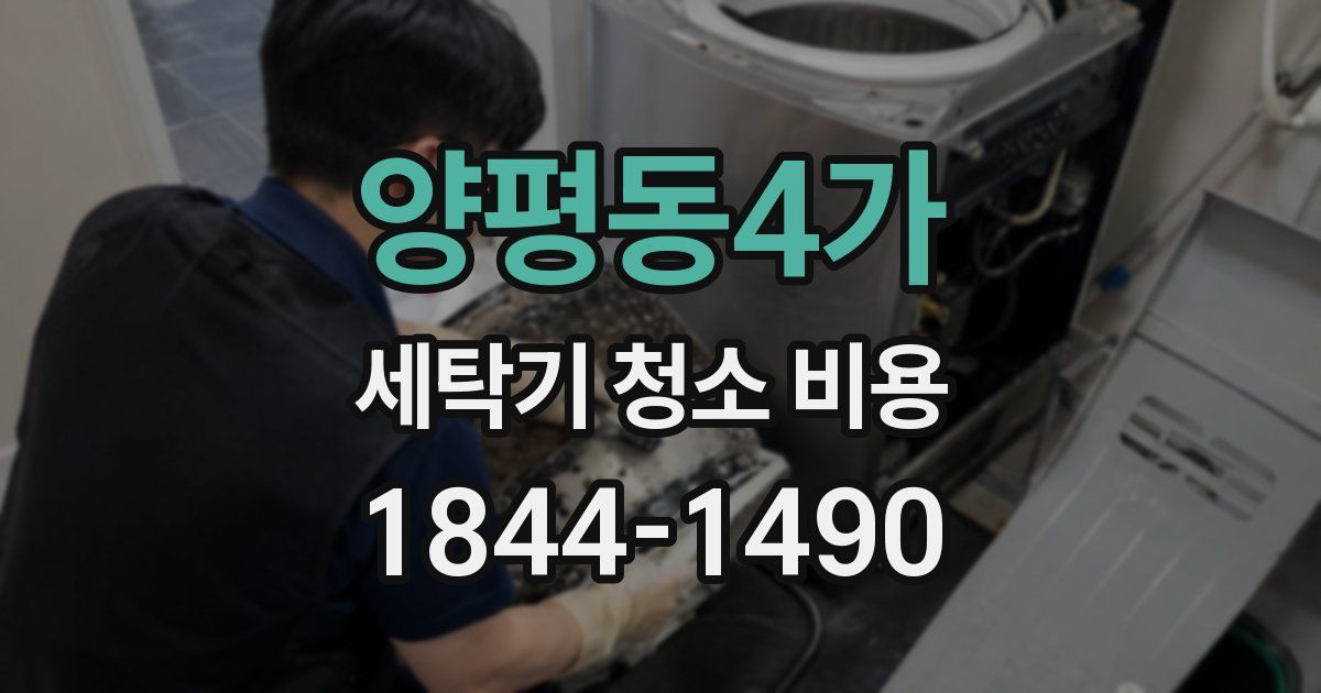 양평동4가 세탁기 청소 비용