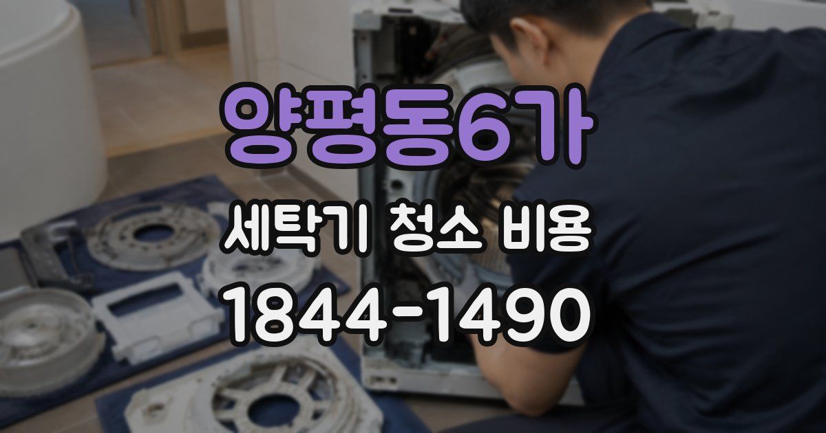 양평동6가 세탁기 청소 비용