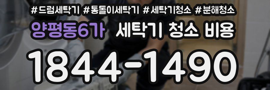 양평동6가 세탁기 청소 비용
