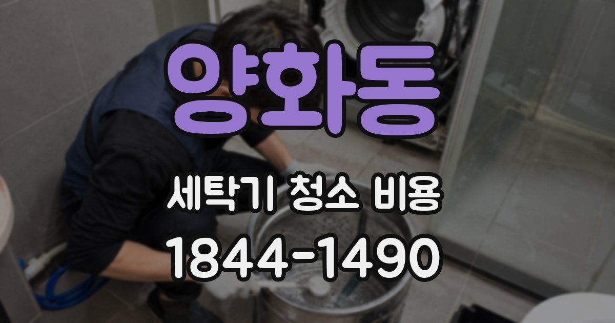 양화동 세탁기 청소 비용