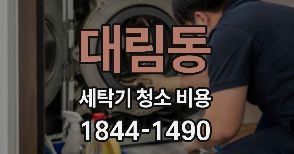 대림동 세탁기 청소 비용