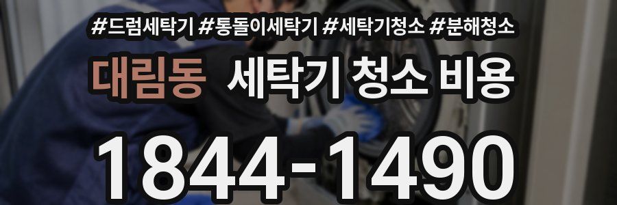 대림동 세탁기 청소 비용