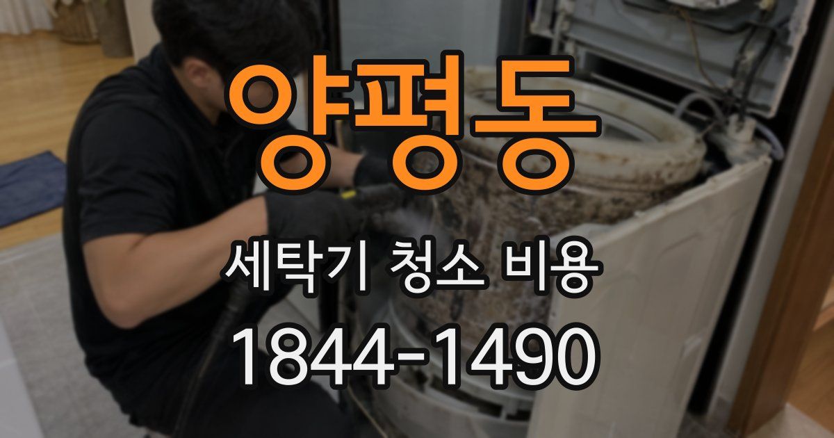 양평동 세탁기 청소 비용