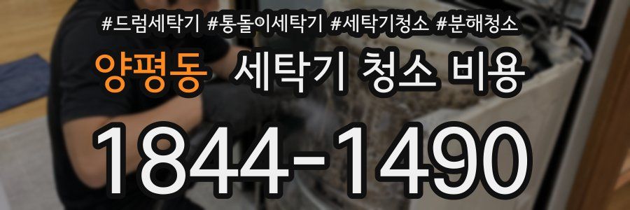 양평동 세탁기 청소 비용
