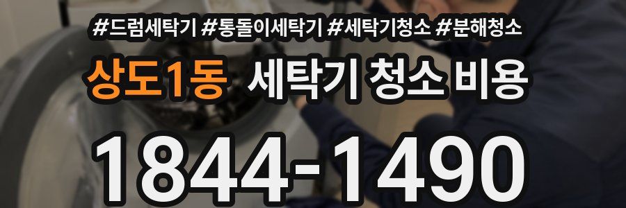 상도1동 세탁기 청소 비용