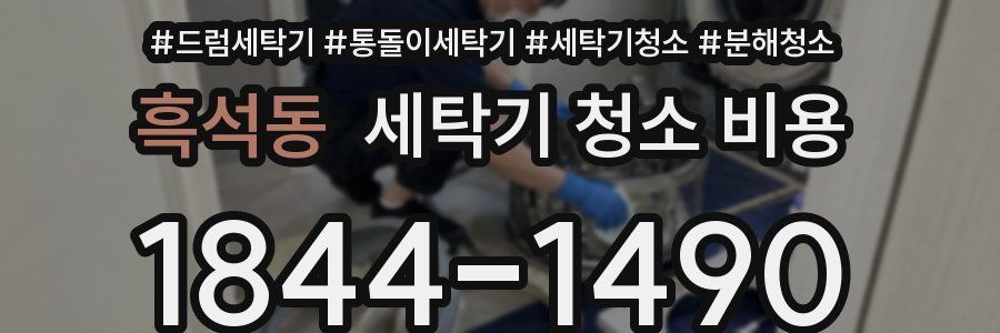 흑석동 세탁기 청소 비용