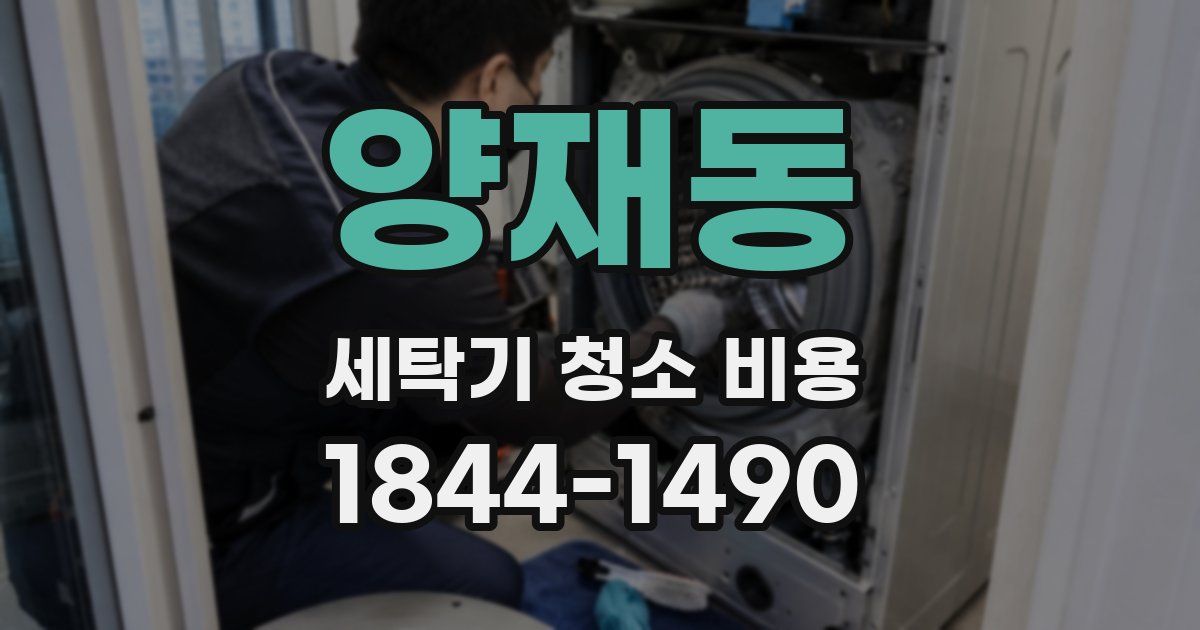 양재동 세탁기 청소 비용
