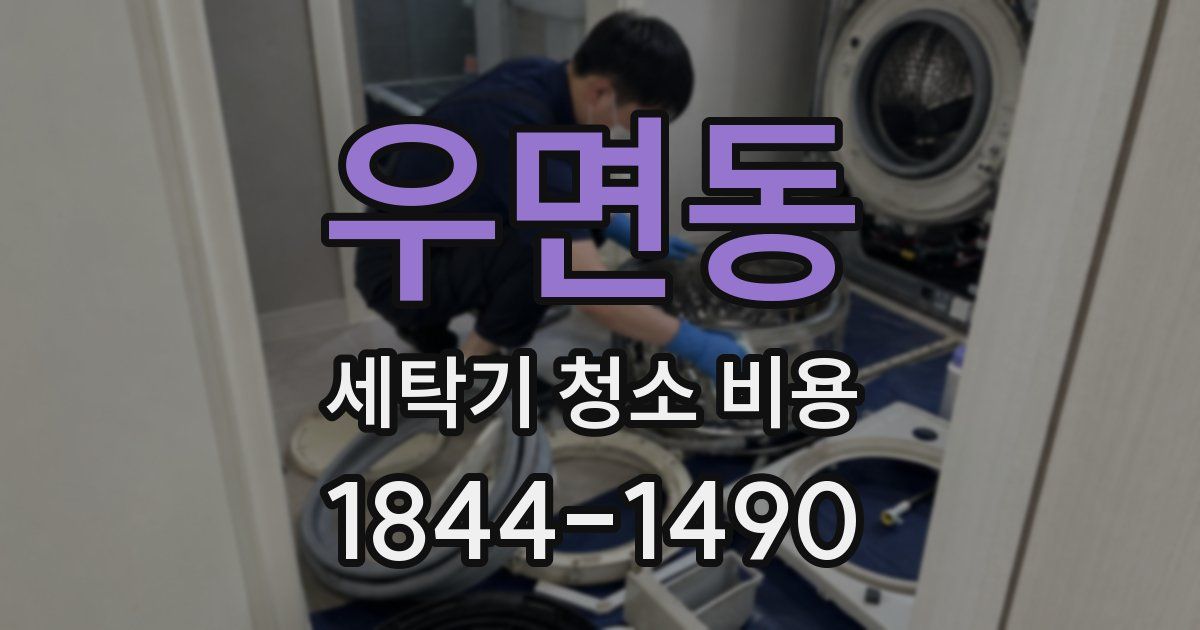 우면동 세탁기 청소 비용