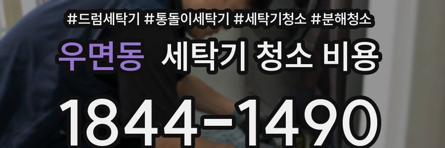 우면동 세탁기 청소 비용