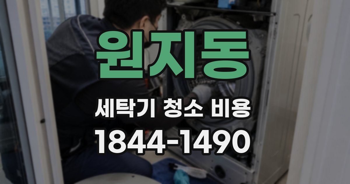 원지동 세탁기 청소 비용