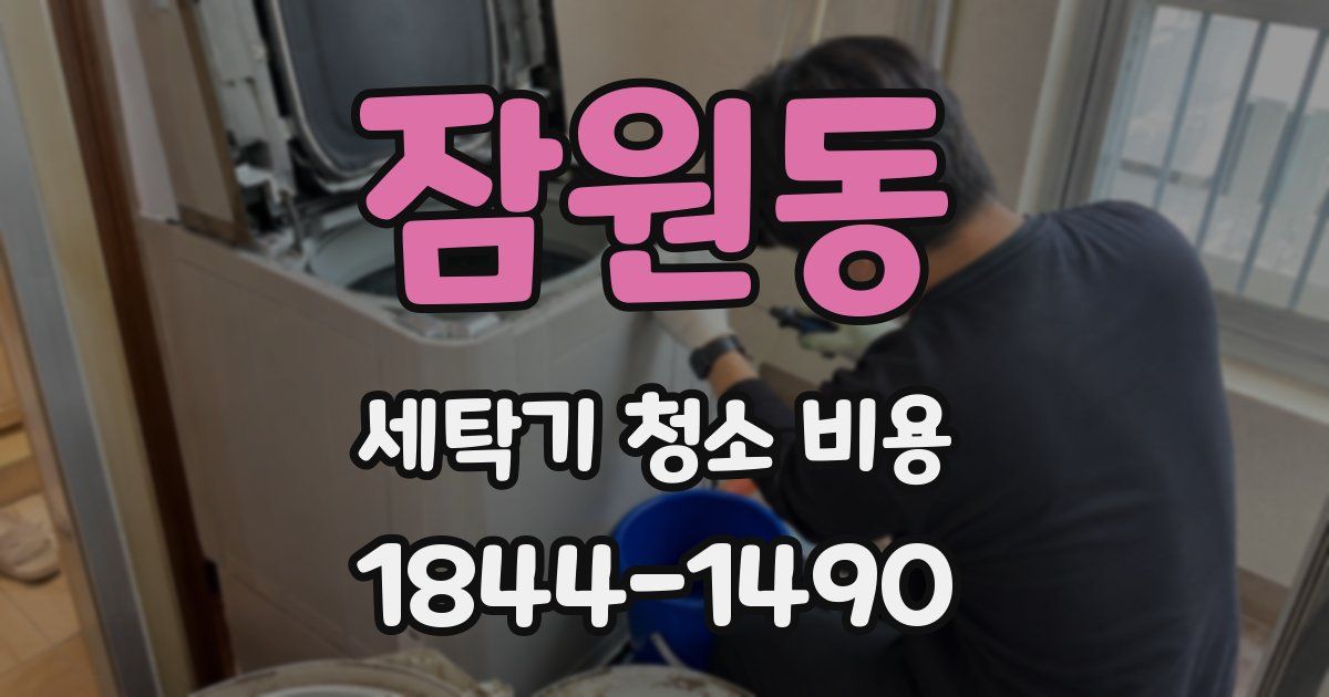 잠원동 세탁기 청소 비용