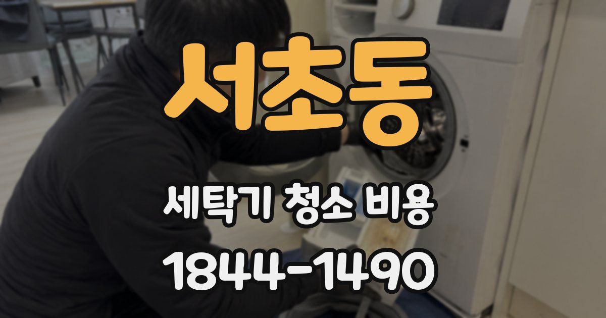 서초동 세탁기 청소 비용