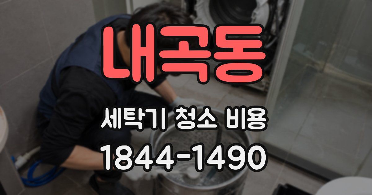 내곡동 세탁기 청소 비용