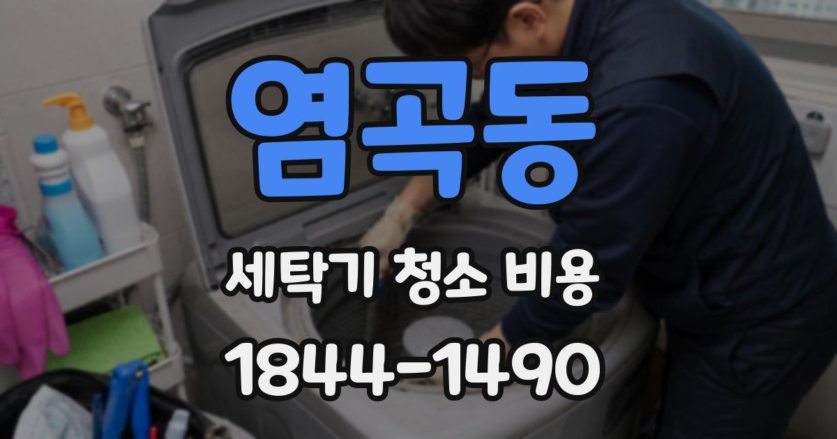 염곡동 세탁기 청소 비용