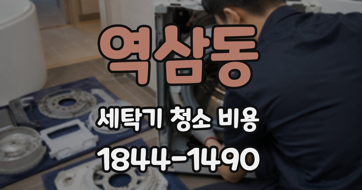 역삼동 세탁기 청소 비용