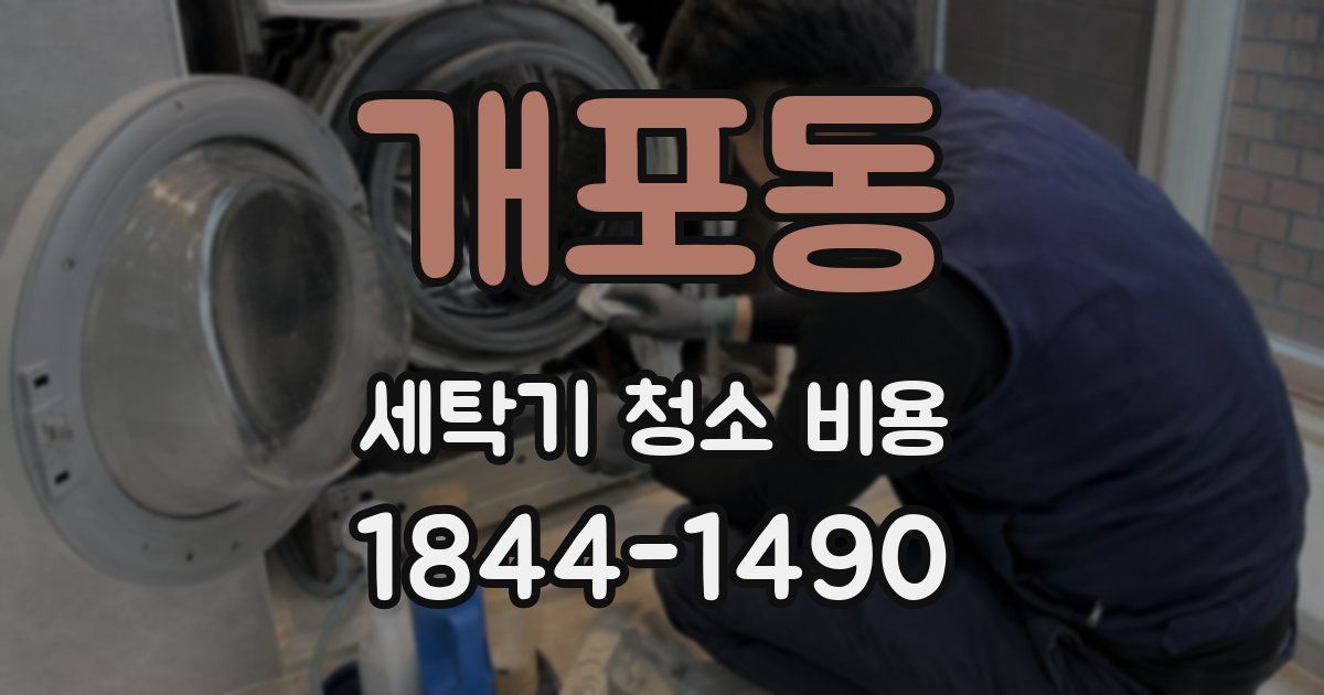 개포동 세탁기 청소 비용