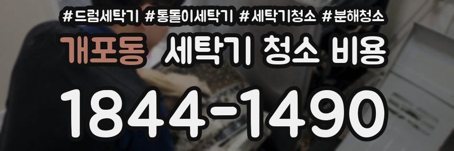 개포동 세탁기 청소 비용