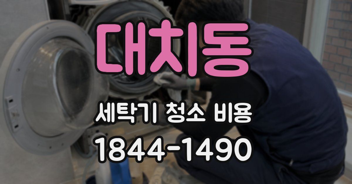 대치동 세탁기 청소 비용