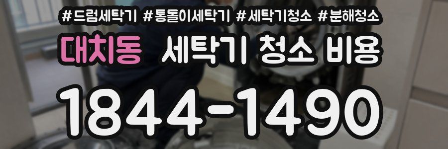 대치동 세탁기 청소 비용