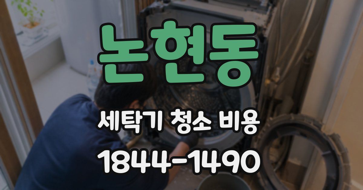 논현동 세탁기 청소 비용