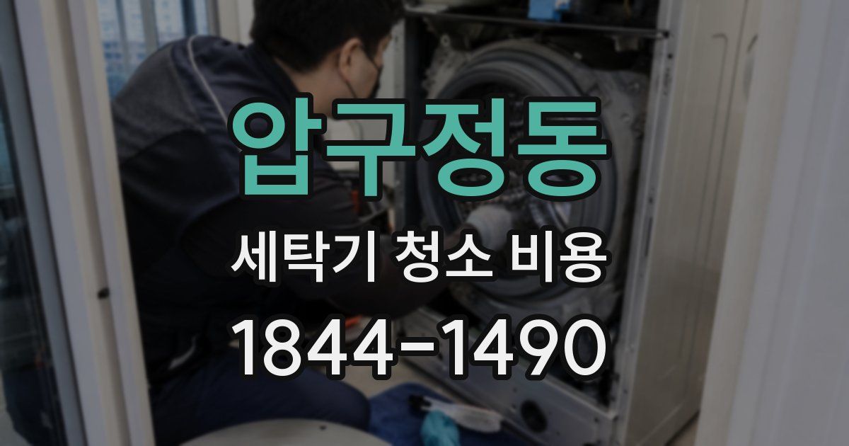 압구정동 세탁기 청소 비용