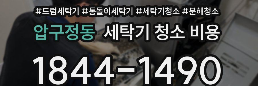 압구정동 세탁기 청소 비용