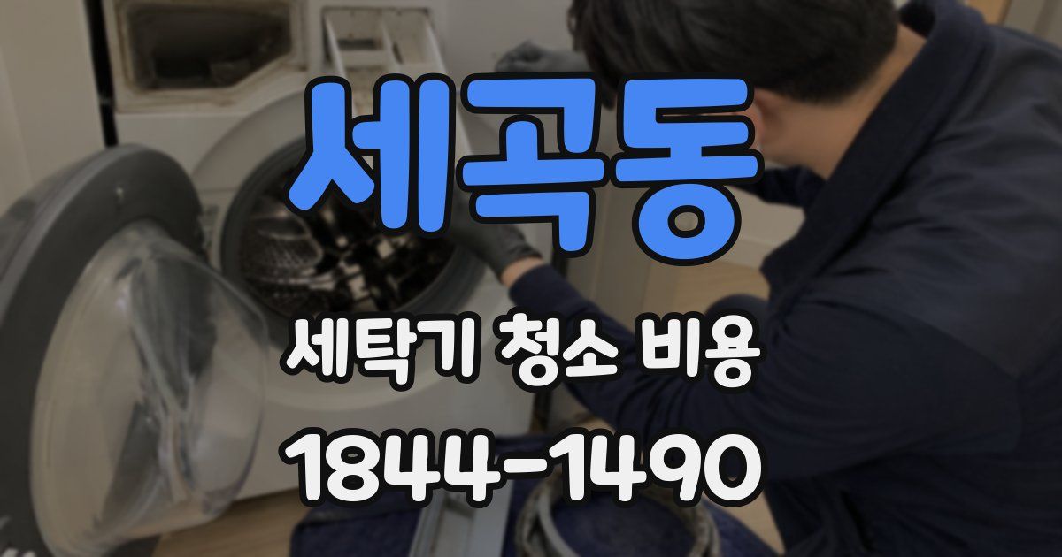 세곡동 세탁기 청소 비용
