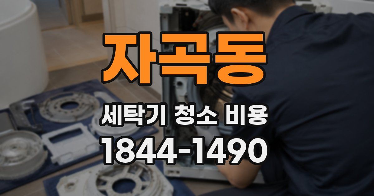 자곡동 세탁기 청소 비용