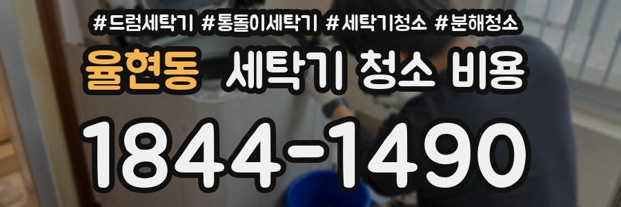 율현동 세탁기 청소 비용