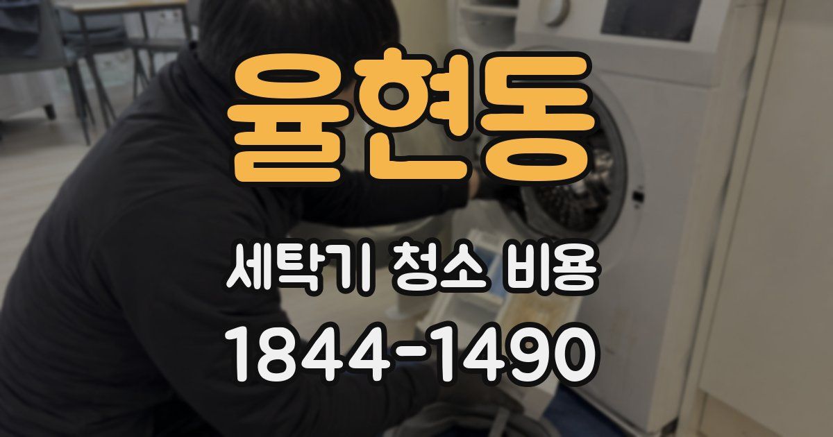 율현동 세탁기 청소 비용