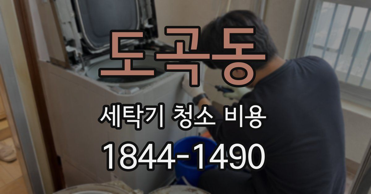 도곡동 세탁기 청소 비용