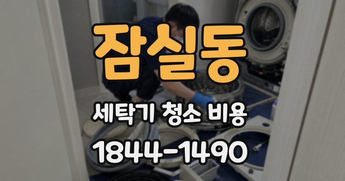 잠실동 세탁기 청소 비용