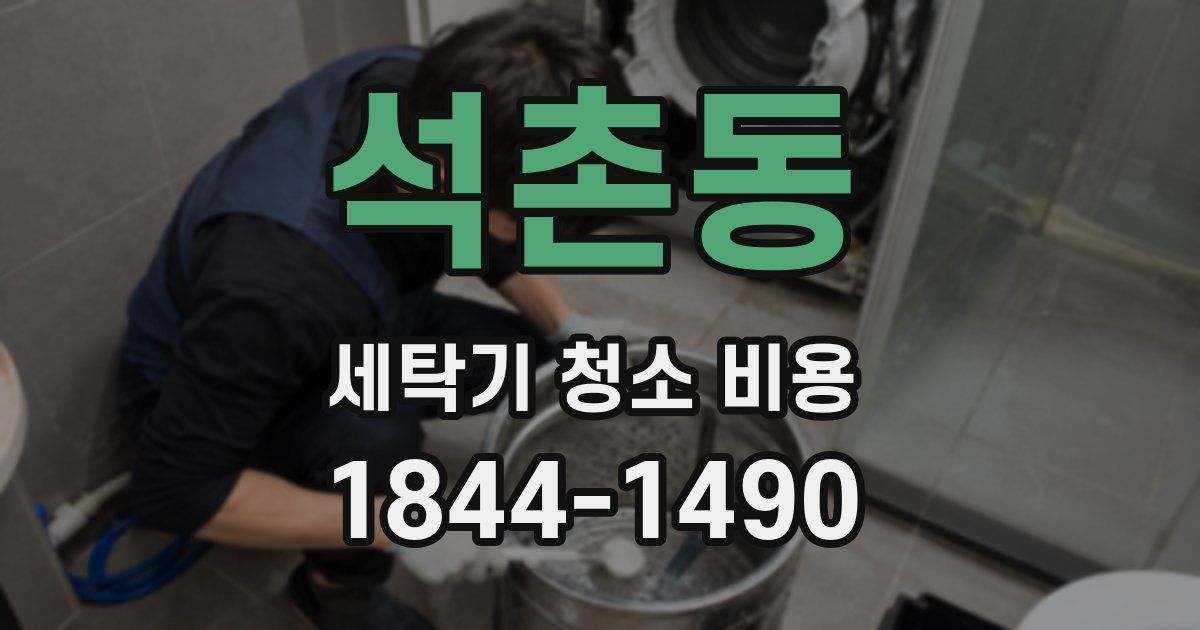 석촌동 세탁기 청소 비용
