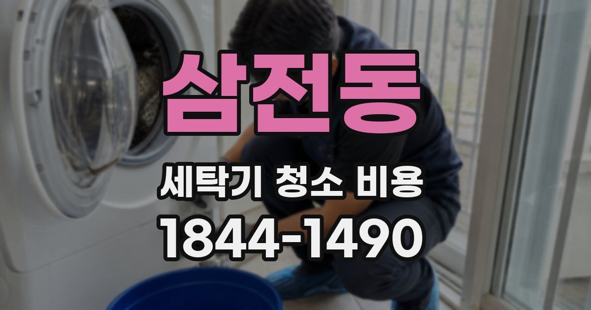 삼전동 세탁기 청소 비용