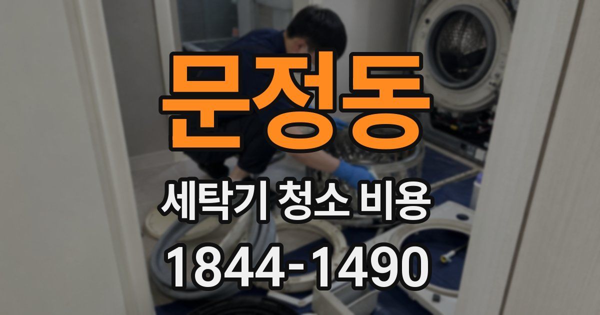 문정동 세탁기 청소 비용