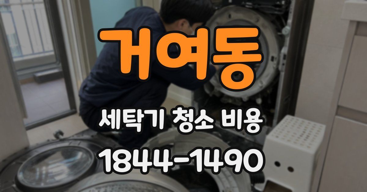 거여동 세탁기 청소 비용