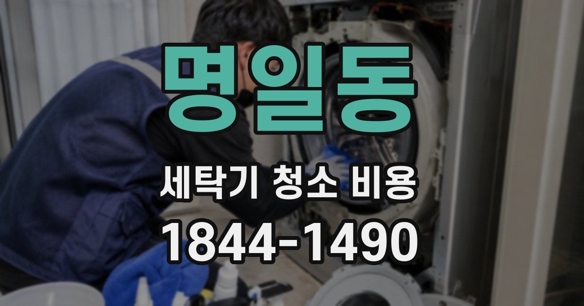 명일동 세탁기 청소 비용