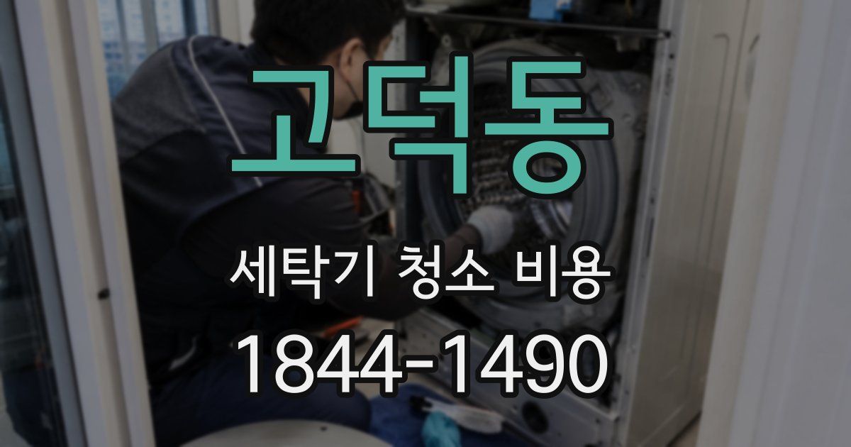 고덕동 세탁기 청소 비용