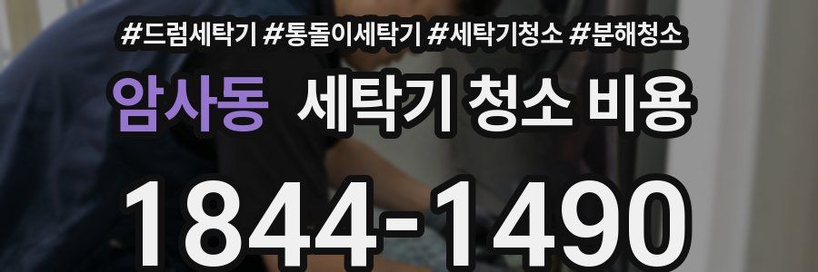 암사동 세탁기 청소 비용