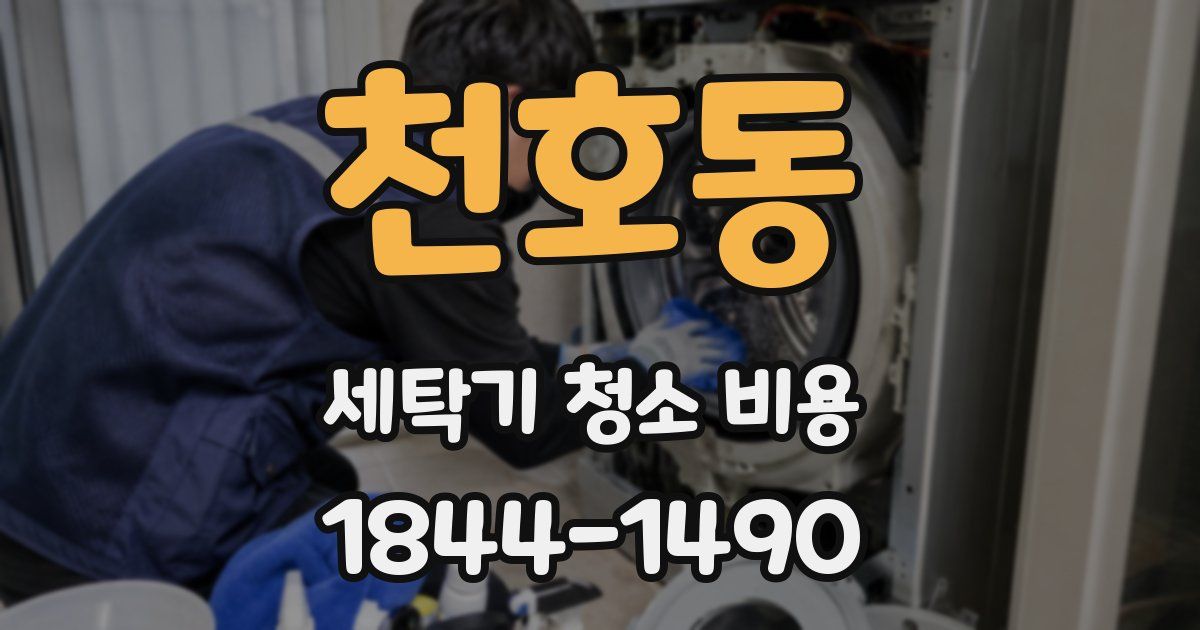 천호동 세탁기 청소 비용