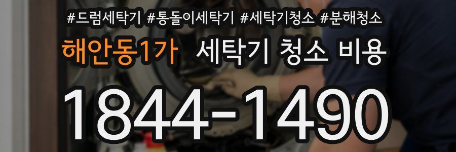해안동1가 세탁기 청소 비용