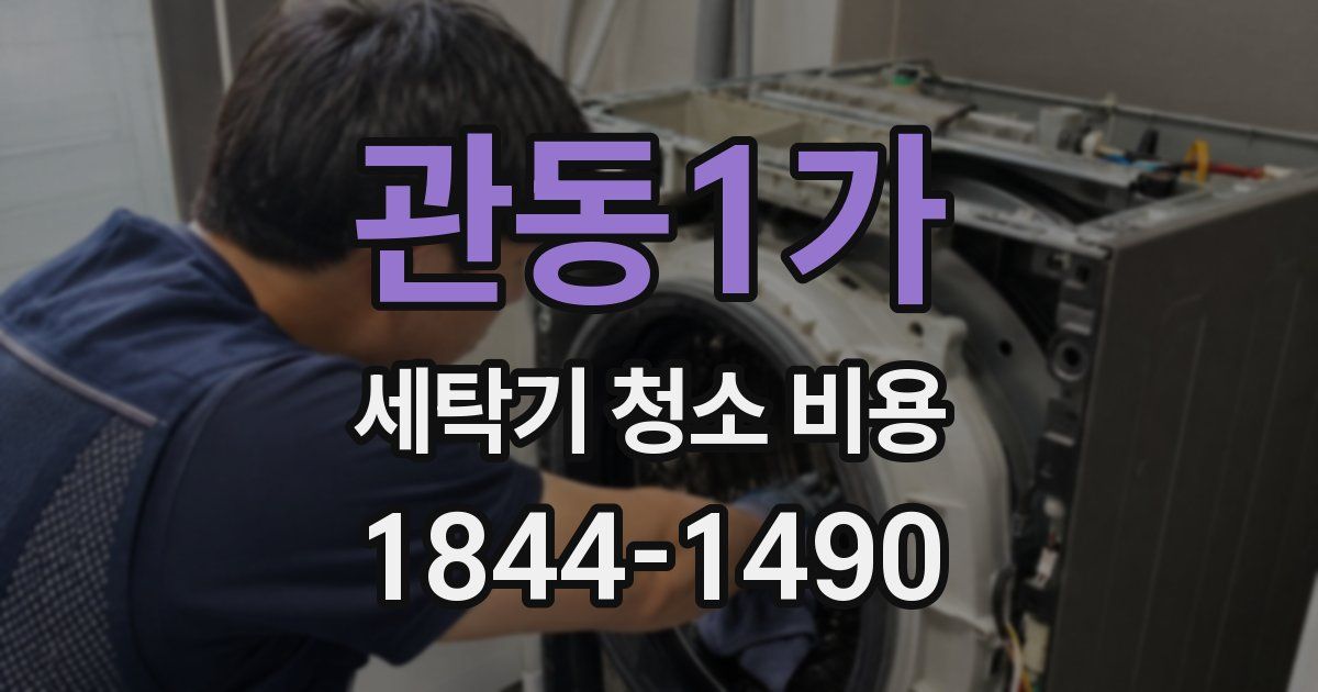 관동1가 세탁기 청소 비용