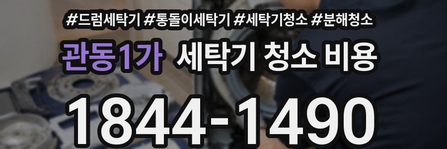 관동1가 세탁기 청소 비용