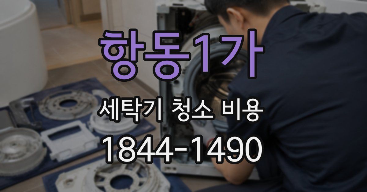 항동1가 세탁기 청소 비용