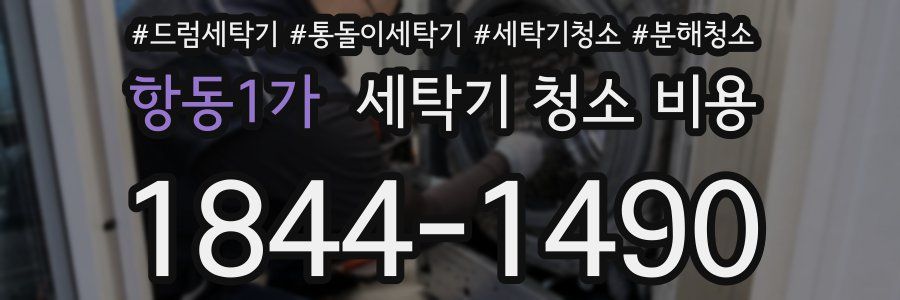 항동1가 세탁기 청소 비용