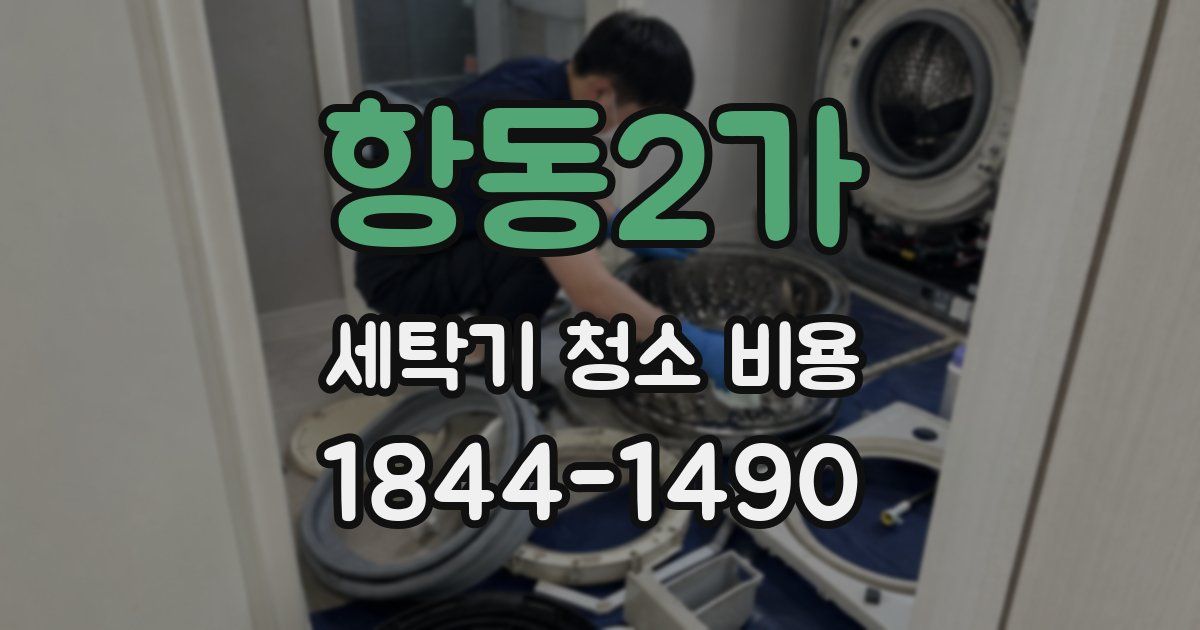 항동2가 세탁기 청소 비용