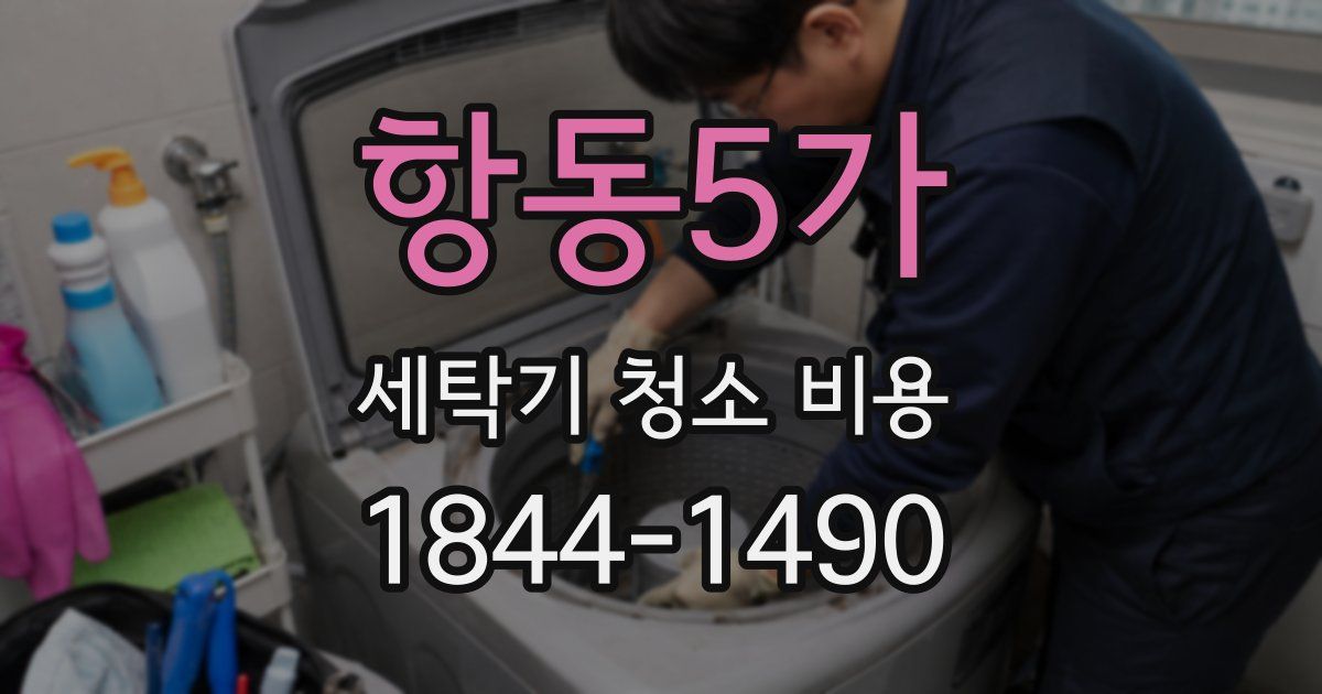 항동5가 세탁기 청소 비용