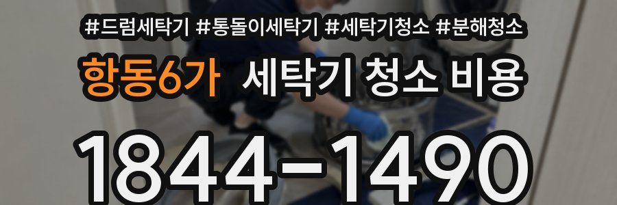 항동6가 세탁기 청소 비용